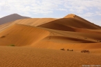 image 0007_namib-desert-jpg